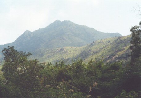 Arunachula